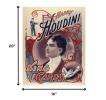 20" X 16" Houdini King Of Cards Vintage Magic Poster Wall Art