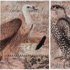 Set of 2 Antique Post Card Birds Wall Art