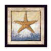 Starfish Black Framed Print Wall Art