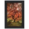 First Colors of Fall II 2 Black Framed Print Wall Art