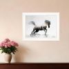 Running White Stallion 1 White Framed Print Wall Art