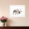 Arctic Reindeer 1 White Framed Print Wall Art