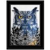 Night Owl 3 Black Framed Print Wall Art