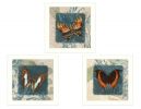 Set Of Three Butterflies White Framed Print Wall Art