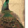 Set Of Two Peacock 1 White Framed Print Wall Art