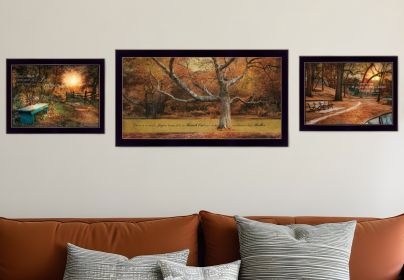 Set Of Three Tranquil Spaces 2 Black Framed Print Wall Art