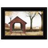 Bucks County Bridge 3 Black Framed Print Wall Art