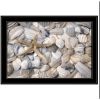 Set Of Two Cape Hatteras Lighthouse and Sea Shells 4 Black Framed Print Wall Art