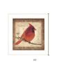 Male Cardinal 1 White Framed Print Wall Art