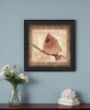 Female Cardinal 2 Black Framed Print Wall Art