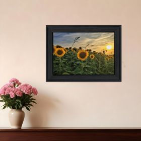 Midwest Livin I 2 Black Framed Print Wall Art