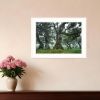 Enchanted Forest I 2 White Framed Print Wall Art