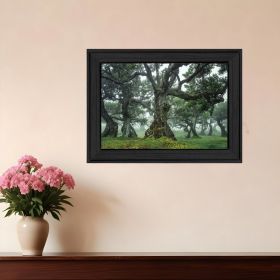 Enchanted Forest I 3 Black Framed Print Wall Art