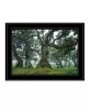 Enchanted Forest I 4 Black Framed Print Wall Art