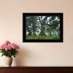 Enchanted Forest I 4 Black Framed Print Wall Art