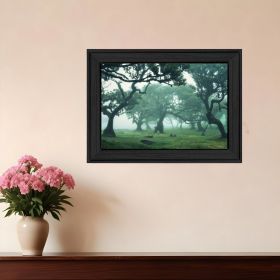 Enchanted Forest II 3 Black Framed Print Wall Art