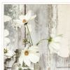 Set Of Two Our Family Blossoms White Framed Print Wall Art