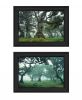 Set Of Two Enchanted Forest 2 Black Framed Print Wall Art