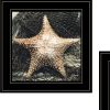 Set Of Two Ocean Net 2 Black Framed Print Wall Art