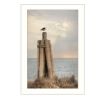 Birds Eye View 2 White Framed Print Wall Art