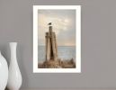 Birds Eye View 2 White Framed Print Wall Art