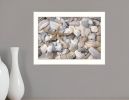 Starfish and Seashell 2 White Framed Print Wall Art