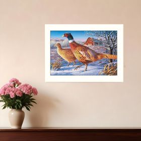 Frosty Morning Ringnecks 2 White Framed Print Wall Art