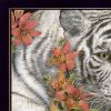 Tiger Lily 1 Black Framed Print Wall Art