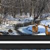 Set Of Two Great Outdoors Nature or Winter Forest 3 Black Framed Print Wall Art