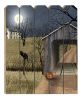 Sleepy Hollow Bridge 1 Unframed Print Wall Art