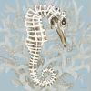 Coral Seahorse I 1 Black Framed Print Wall Art