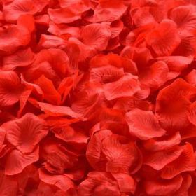 Artificial Rose Petal Artificial Flower Silk Petals Valentine Day Wedding Flower Decoration Flowers - red - 1000pcs