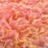 Artificial Rose Petal Artificial Flower Silk Petals Valentine Day Wedding Flower Decoration Flowers - champagne pink - 500pcs