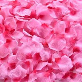 Artificial Rose Petal Artificial Flower Silk Petals Valentine Day Wedding Flower Decoration Flowers - pink red - 1000pcs