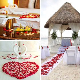 Artificial Rose Petal Artificial Flower Silk Petals Valentine Day Wedding Flower Decoration Flowers - milky white - 3000pcs