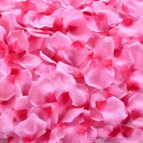 Artificial Rose Petal Artificial Flower Silk Petals Valentine Day Wedding Flower Decoration Flowers - pink red - 3000pcs