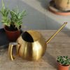 1L Stainless Steel Watering Pot Gardening Potted Small Watering Can With Handle For Watering Plants Flower Garden Tool - Silver