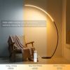 RGBW Modern Curve Floor Lamp | New Version - Default Title