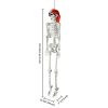 Halloween 5.4 FT Skeleton Bones - US