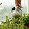 1L Stainless Steel Watering Pot Gardening Potted Small Watering Can With Handle For Watering Plants Flower Garden Tool - Silver