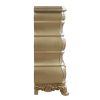 ACME Seville Chest, Gold Finish BD00455 - as Pic