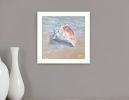 Whelk White Framed Print Wall Art